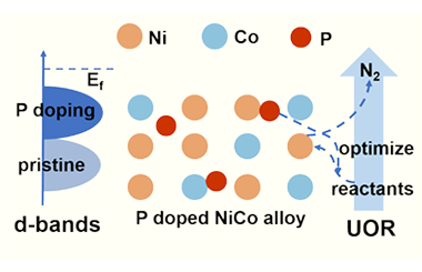 Tuning the d-band center of amorphous NiCo alloy via P doping for enhanced urea electrolysis 2026.100865